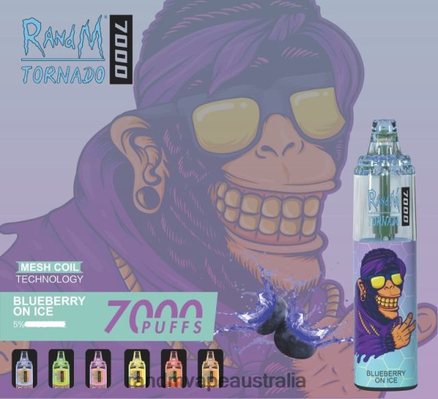 RandM Vape Flavour - RandM Tornado 7000 Airflow Control Vape Device 1Pc 6NRPJ4169 Blueberry On Ice